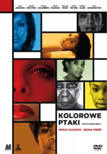 Kolorowe ptaki Kolorowe ptaki